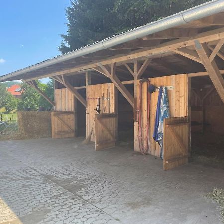 Apartament Luises Ferienglueck Vernawahlshausen Zewnętrze zdjęcie